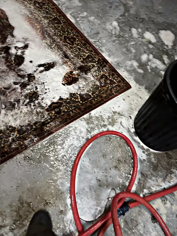 Tapis étendus au sol de l’atelier pendant le lavage.